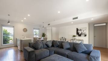 Smart TV, Netflix, streaming services