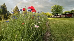 A garden with various flowers and a rainbow in the sky. - Country Apartment Rental in an Outdoor Paradise! (Mt Carroll)