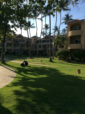 Property grounds - BEACHFRONT STUDIO APARTMENT WITH GREAT VIEW OF THE OCEAN. (Cabarete)