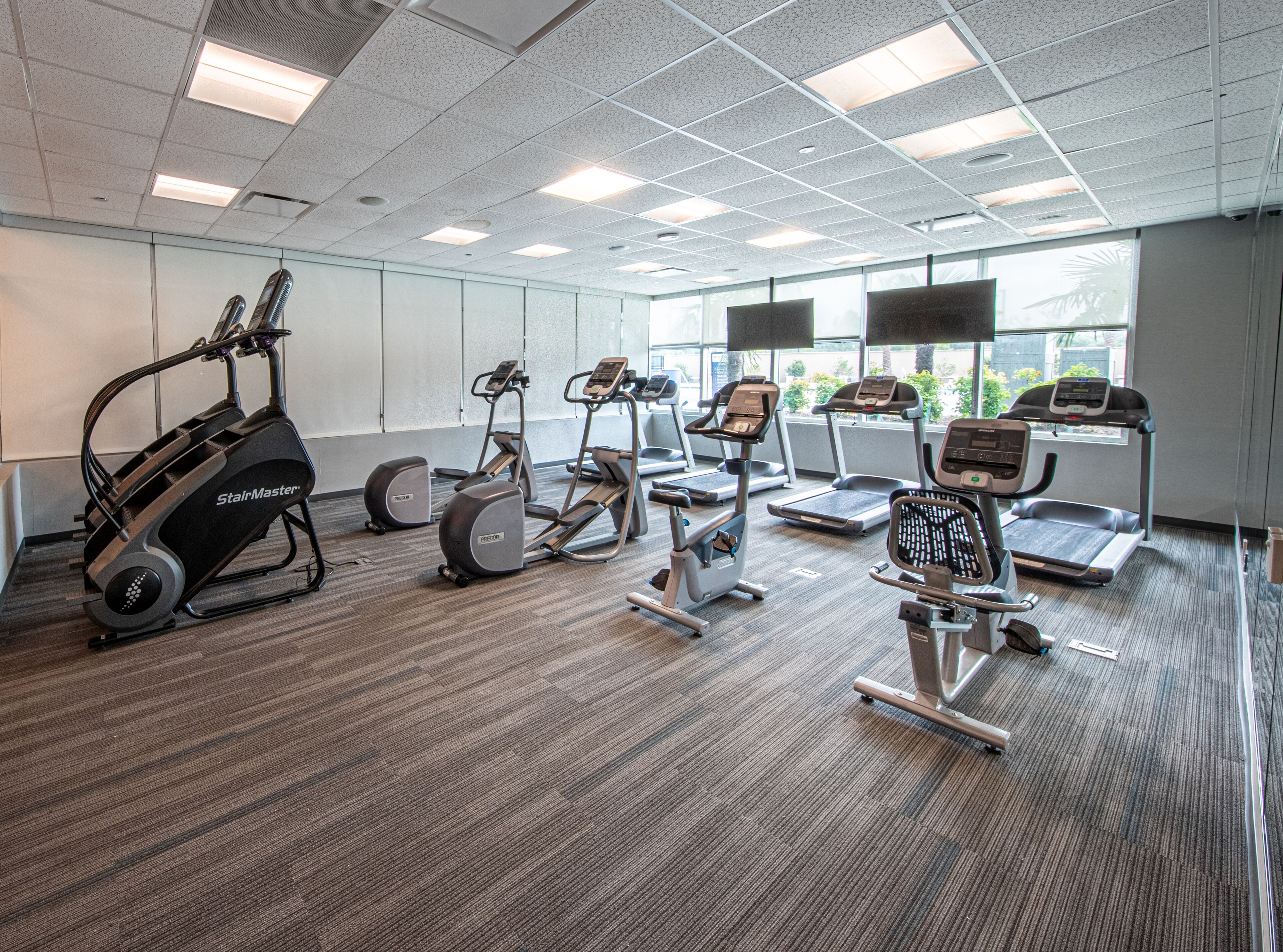 A gym with various exercise machines, a large window with a view of greenery, and a carpeted floor.