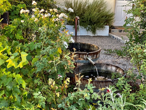 Escape to a serene oasis surrounded by lush greenery and a soothing water feature.