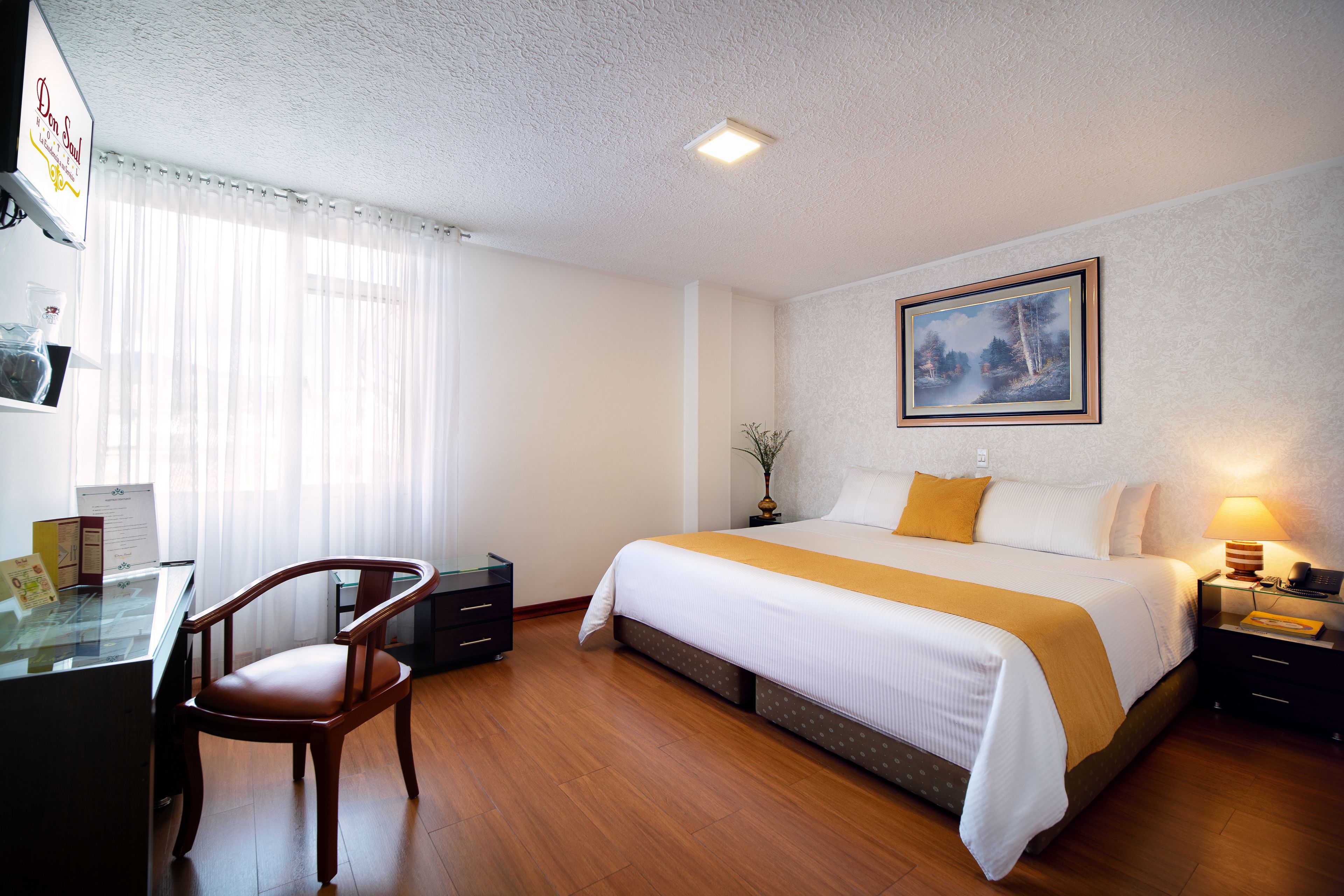 Photo - Hotel Don Saul