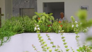 Un espace d’accueil avec un comptoir de réception blanc, une plante en pot aux feuilles vertes et aux fleurs orange, et un mur de marbre en arrière-plan.