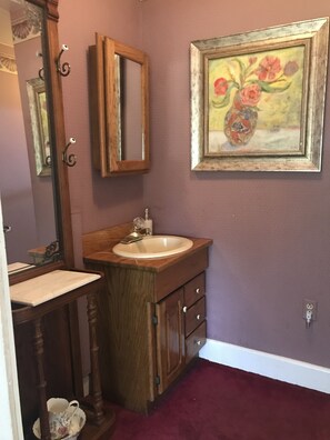 Dusche, Haartrockner, Handtücher, Shampoo