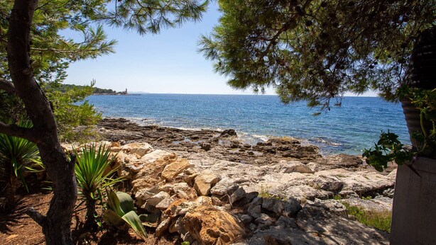 A rocky shoreline with clear blue sea, surrounded by trees and vegetation. - Family house Futura  (Milna)