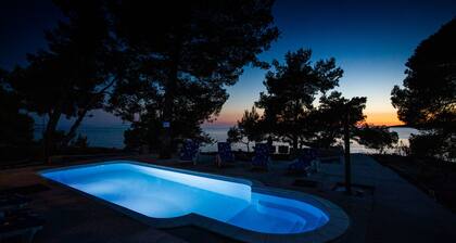 Einfamilienhaus Futura