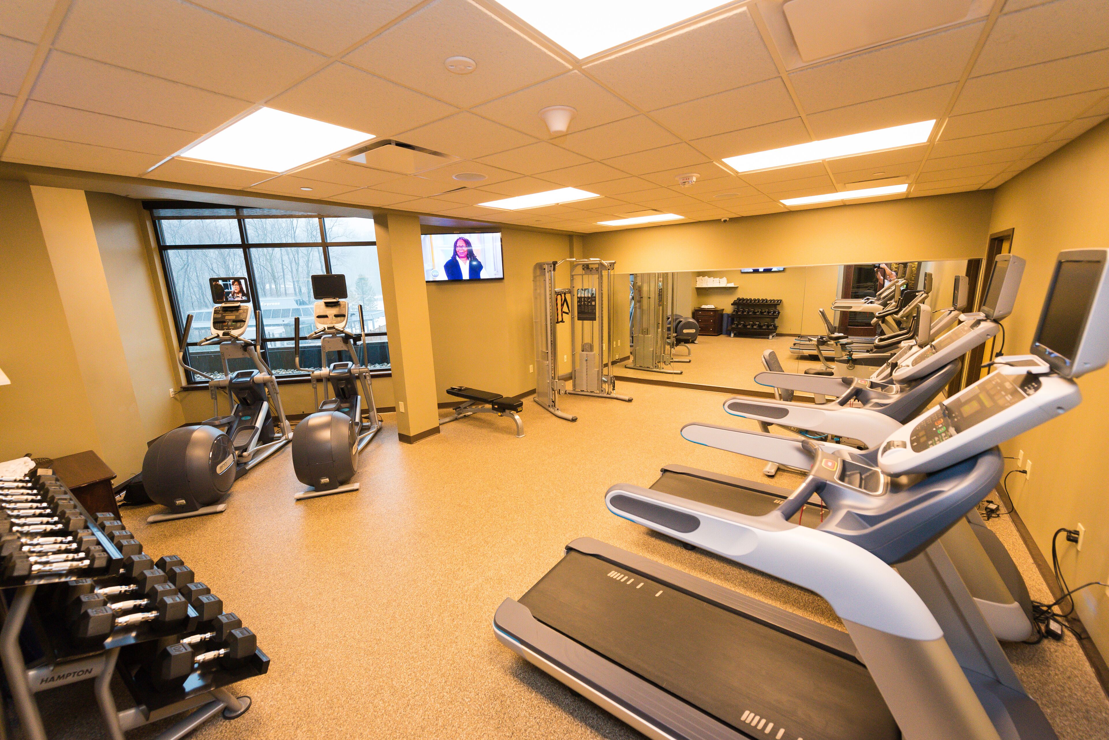 A gym with treadmills, dumbbells, and exercise equipment.