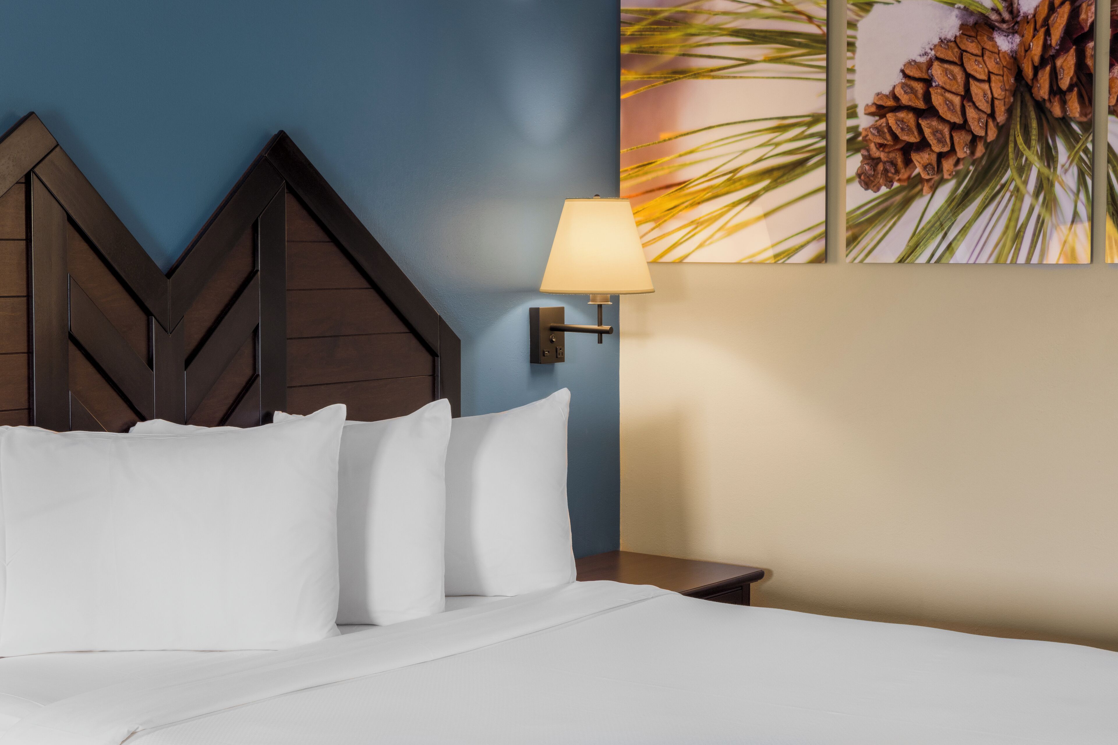 A neatly made bed with white linens and pillows, a wall-mounted lamp, and a pine cone decoration on the wall.