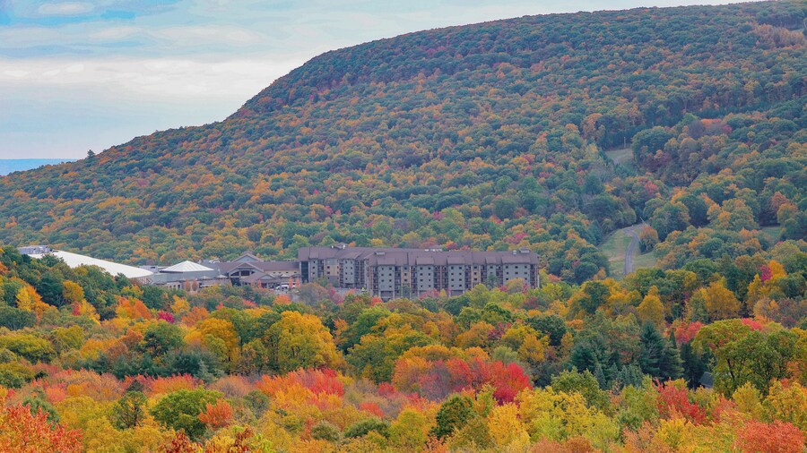Camelback Lodge & Aquatopia Indoor Waterpark