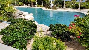 Una piscina azul cristalina rodeada de vegetación exuberante y palmeras.