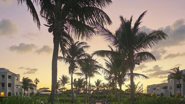 Un muelle de madera que serpentea por una zona turística tropical, con palmeras y un atardecer de fondo.