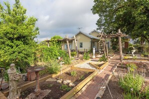 Een tuin met verhoogde bakken, een beeld en een huis op de achtergrond.