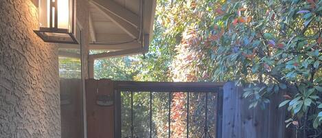 A gated entrance with a metal gate, a concrete pathway, and a wooden fence.