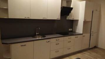 Fridge, stovetop, cookware/dishes/utensils, freezer