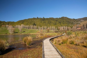 A wooden boardwalk leading to a lake surrounded by grassy areas and trees.