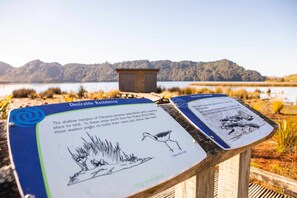 Two informational signs about Olearke Lake's waterbirds and their nesting preferences. - Okareka Escape - Lake Views & Lakeside Walk (Rotorua)