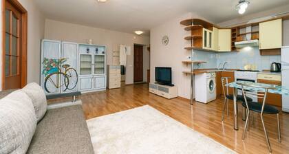 Двухкомнатная квартира: Мечникова, 7