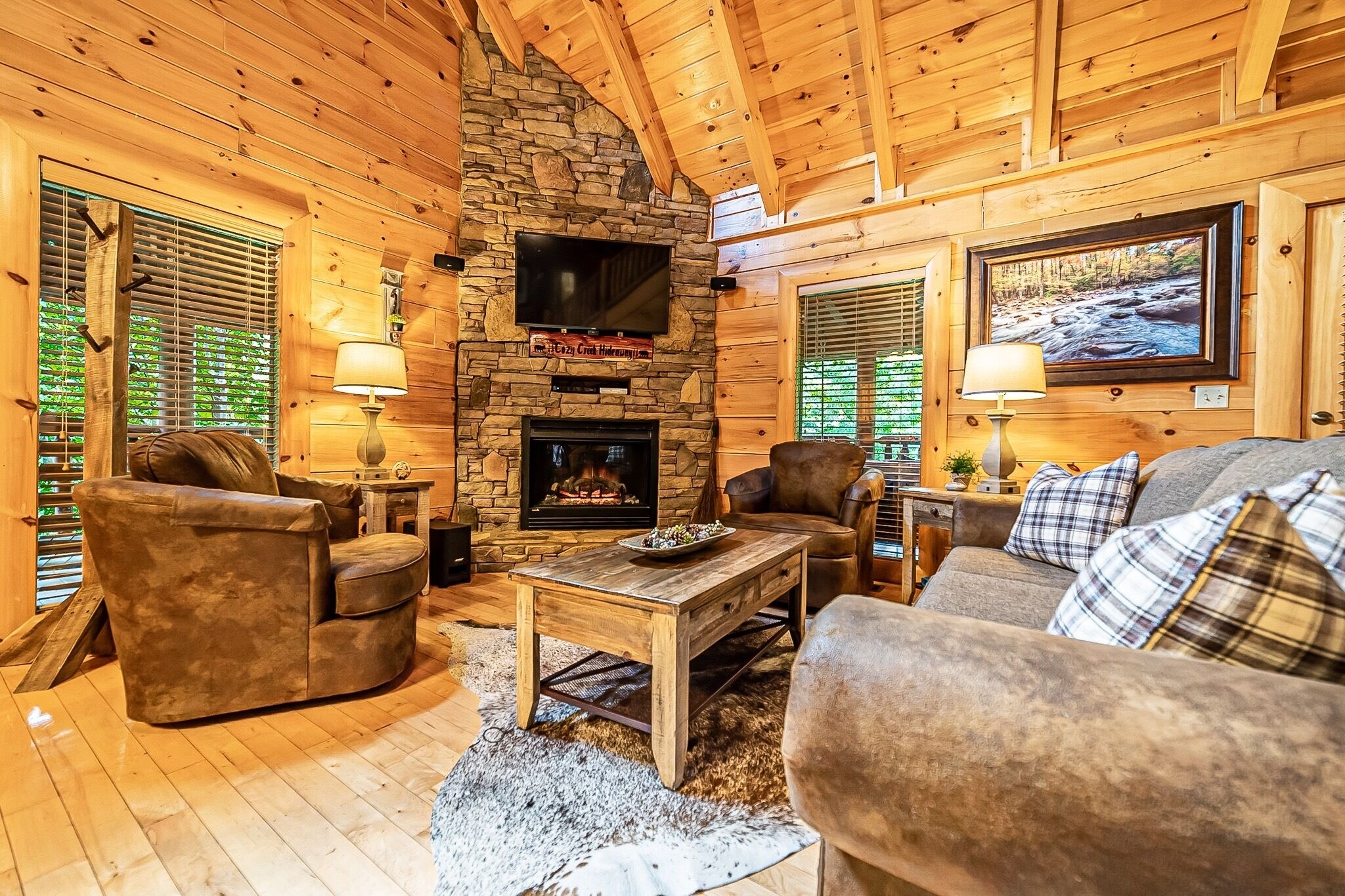 Smart TV, fireplace, video games, DVD player