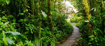 Cabañas Las Orquideas