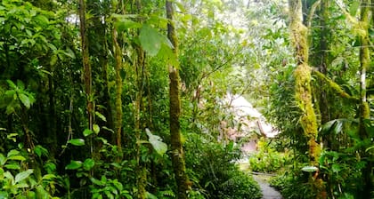 Cabañas Las Orquideas