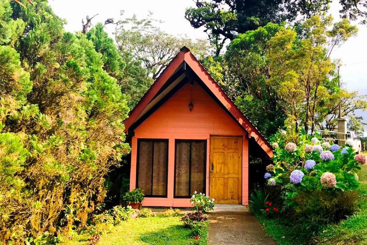 A small, single-story building with a red roof and a wooden door, surrounded by lush greenery and flowering plants.