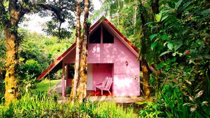 A pink cabin with a single chair in a forested area. - Cabañas Las Orquideas (Miramar)