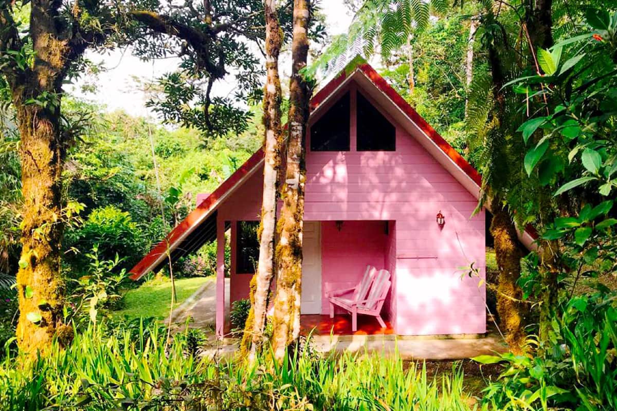 A pink cabin with a single chair in a forested area.