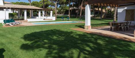 A well-maintained outdoor area with a swimming pool, lounge chairs, and a pergola.