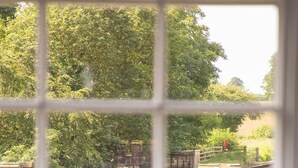 Vista a través de una ventana de un edificio histórico con arquitectura de piedra y un árbol verde frondoso al fondo.
