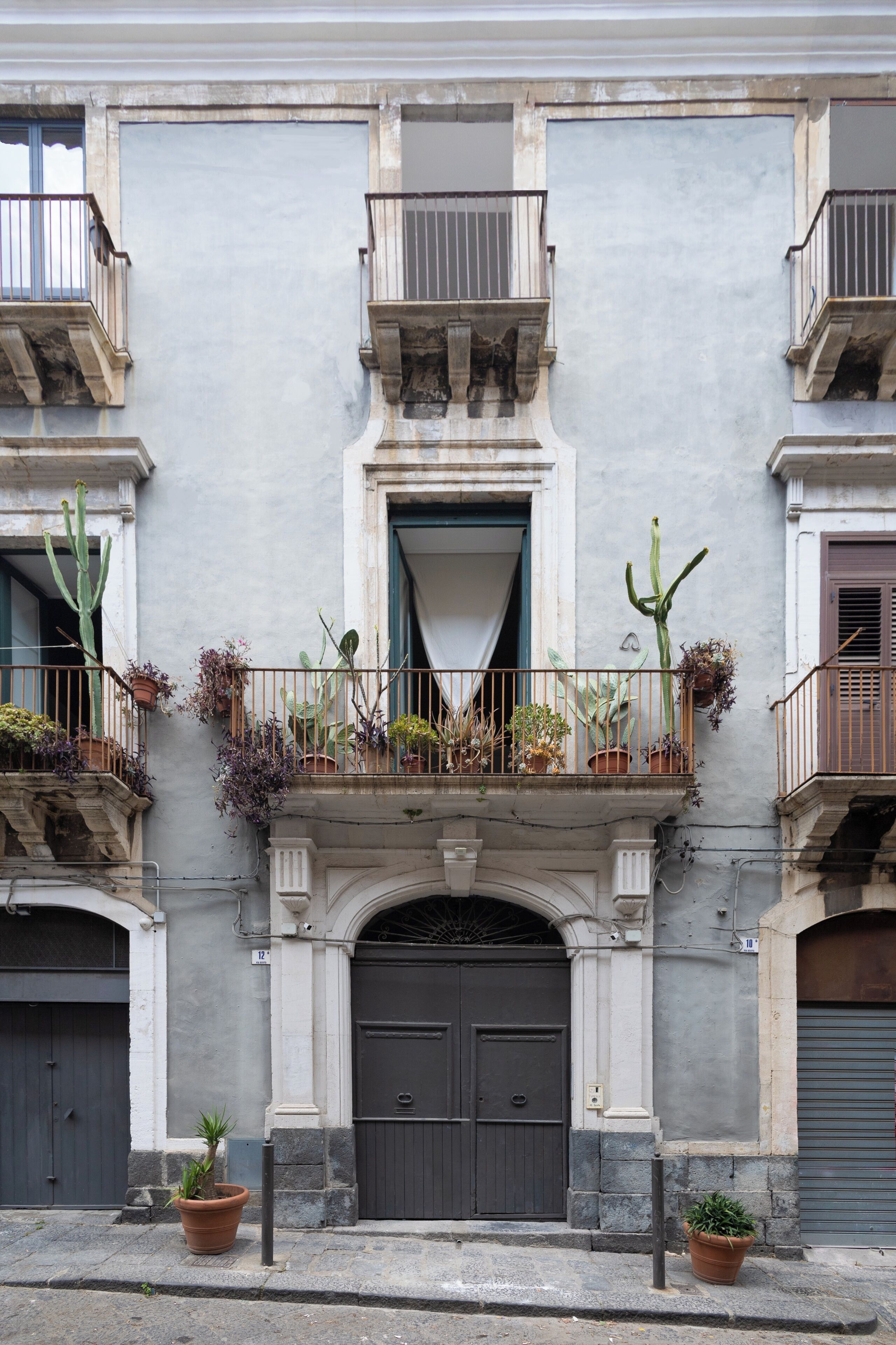 Fachada de edificio con entrada central, balcones con plantas en macetas y una puerta gris.