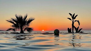 Ein Strandbild mit Palmen, die vor einem Sonnenuntergang in Silhouette stehen.