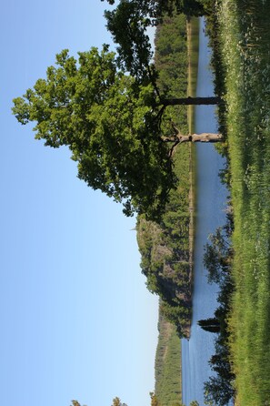 Imagen sin descripción, 3 de 6, botón