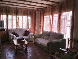 Una televisión, una chimenea