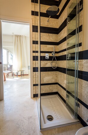 Shower, hair dryer, bidet, towels