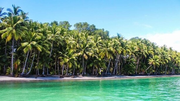 A beach with palm trees and clear turquoise water. - Residencia de la Marina (Boca Chica)