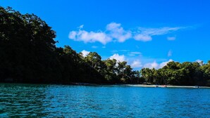 A tropical beach with clear blue water, dense green foliage, and a sandy shore. - Residencia de la Marina (Boca Chica)