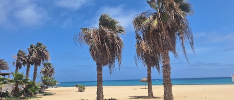 Una spiaggia nelle vicinanze