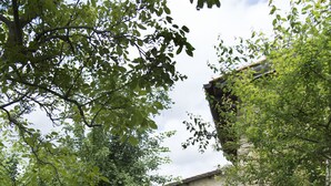 Unclassified image, 5 of 23, button - Apartment the crocodile feel the nature (Città Metropolitana di Firenze)