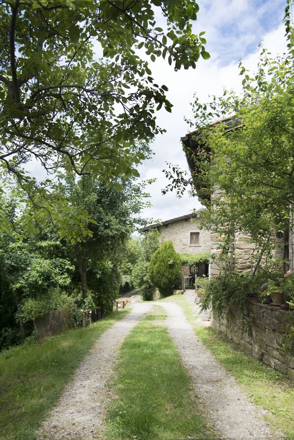 Área da propriedade