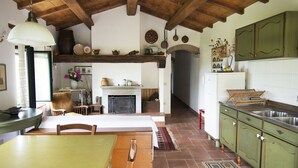 A rustic kitchen with wooden beams, a fireplace, and green cabinets. - Apartment the crocodile feel the nature (Città Metropolitana di Firenze)