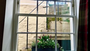 A window with a grid pattern, a view of a building with a stone facade, and a potted plant on the windowsill.