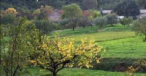 Un paysage rural avec un arbre imposant au premier plan, un bâtiment en pierre à l’arrière-plan et un champ d’herbe.