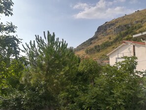 Property grounds - The citrus garden (the citrus garden) (Roccasecca)
