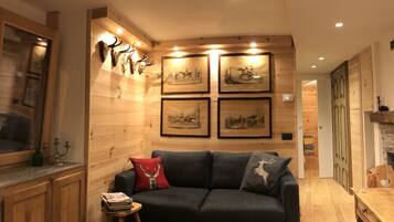 Télévision, cheminée, livres, chaßne hi-fi