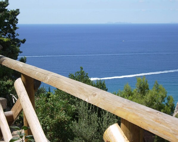 Vista desde la propiedad