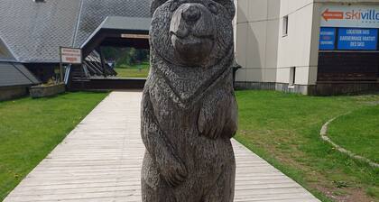 Studio sleeps 4 full heart of the resort of Lioran in the Cantal