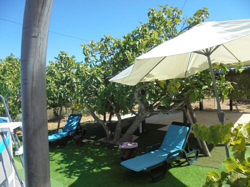 Silence of the Birds