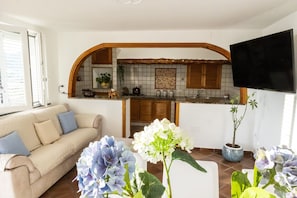 Smart TV, fireplace