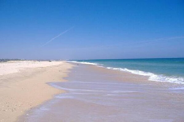On the beach - First Line of Monte Gordo Beach (Monte Gordo)