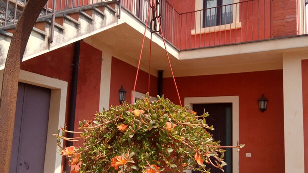 Een gebouw met een rood-wit gevel, een balkon en een hangplant.